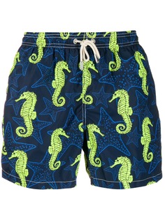 Одежда MC2 Saint Barth