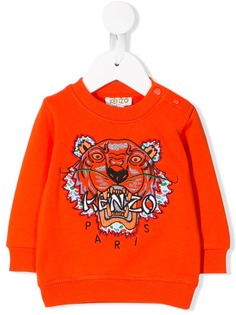 Одежда для мальчиков (0-36 мес.) Kenzo Kids