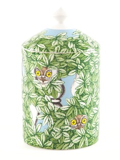 Товары для дома Fornasetti