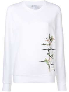 Одежда Loewe