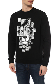 Толстовка Roberto Cavalli