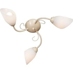 Потолочная люстра Vitaluce V3198/3PL