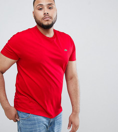 Красная футболка с логотипом Lacoste - Красный