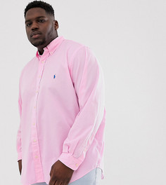 Розовая окрашенная приталенная рубашка с пуговицами и логотипом Polo Ralph Lauren Big & Tall - Розовый