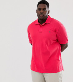 Красное поло из пике с логотипом Polo Ralph Lauren Big & Tall - Красный