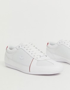 Белые кроссовки Lacoste Evara Sport - Белый