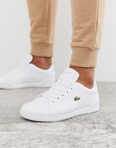 Белые кожаные кроссовки Lacoste Challenge