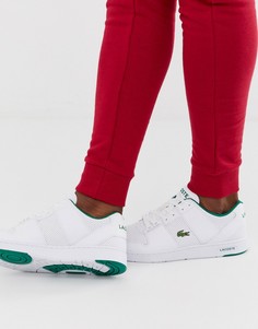 Белые кожаные кроссовки на массивной подошве Lacoste Thrill