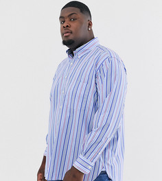 Синяя поплиновая рубашка в полоску с карманом Polo Ralph Lauren Big & Tall