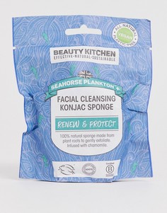 Очищающий спонж конняку для лица Beauty Kitchen Seahorse Plankton