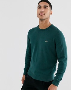 Джемпер с круглым вырезом Lacoste - Зеленый