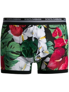 Dolce & Gabbana боксеры с принтом