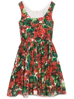 Dolce & Gabbana платье мини с принтом Portofino