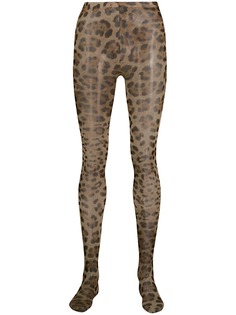 Dolce & Gabbana колготки с леопардовым принтом