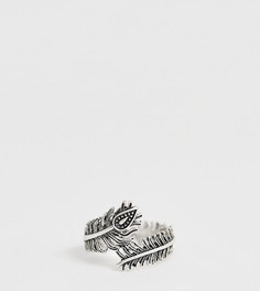 Серебристое кольцо с отделкой в виде пера ASOS DESIGN Plus - Серебряный