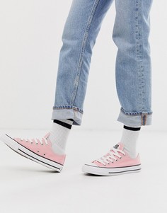 Розовые мягкие кеды Converse Chuck Taylor All Star Ox - Розовый