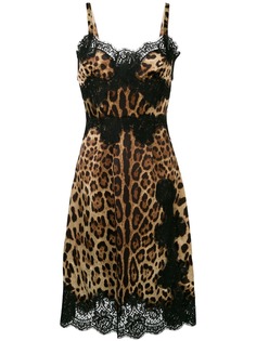 Dolce & Gabbana расклешенное платье миди с леопардовым принтом