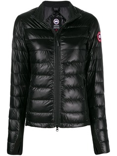 Canada Goose padded jacket