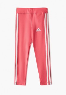 Тайтсы adidas