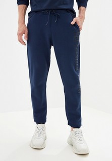 Брюки спортивные Trussardi Jeans
