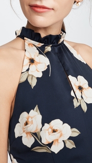 BB Dakota Gardenia Party Dress