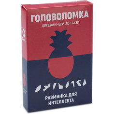 Головоломка IQ Gears Ананас