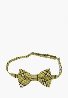 Бабочка Rainbowtie