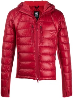 Canada Goose padded jacket