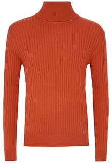 Водолазка Al Franco