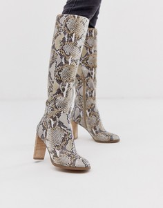 Кожаные сапоги со змеиным узором ASOS DESIGN Clover - Мульти