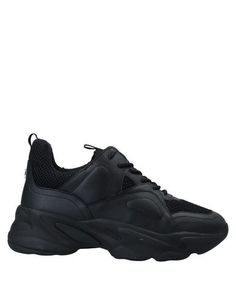 Низкие кеды и кроссовки Steve Madden