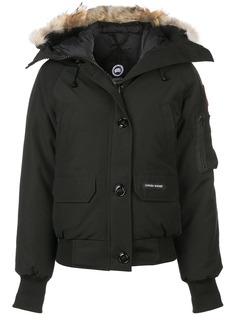Canada Goose chilliwack bomber