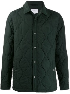 Lacoste padded casual jacket