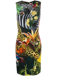 Roberto Cavalli Paradise Found fitted dress