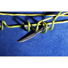 Нож кухонный Samura Bamboo 11 см SBA-0031