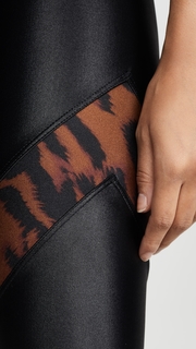 KORAL ACTIVEWEAR Cheetara Leggings