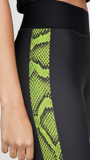 Ultracor Ultra High Linear Python Leggings