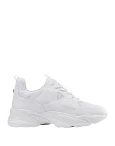 Низкие кеды и кроссовки Steve Madden