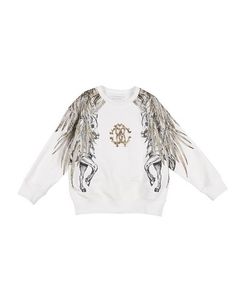 Толстовка Roberto Cavalli Junior