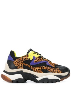 Ash addict leopard-print trainers