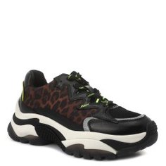 Кроссовки ASH ADDICTION черный