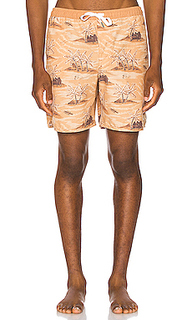 Шорты honolulu - Rhythm