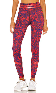 Леггинсы nina - lilybod