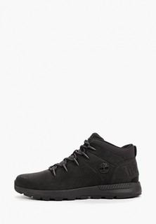Ботинки трекинговые Timberland