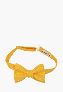 Бабочка Rainbowtie