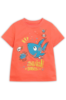 Футболка Pelican