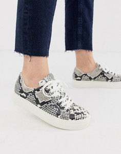 Кеды на платформе со шнуровкой и змеиным принтом ALDO - Мульти