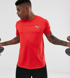 Красная футболка Puma ignite - Красный
