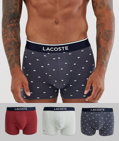 Набор из 3 боксеров-брифов с логотипом Lacoste Colours - Мульти