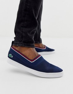Темно-синие кеды Lacoste lydro